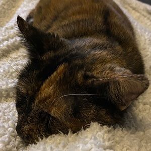 Meet your Posher, Matt